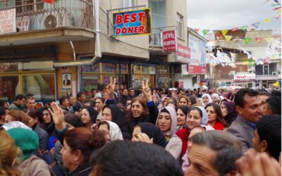 Wahlbeobachtungsdelegation zu den Kommunalwahlen in der Türkei und Nordkurdistan (2014)